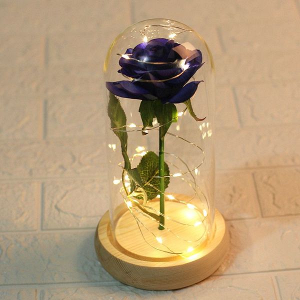 rose flower and led light string in glass dome on wooden base the gift for women(battery not included
rose flower and led light string in glass dome on wooden base the gift for women(battery not included