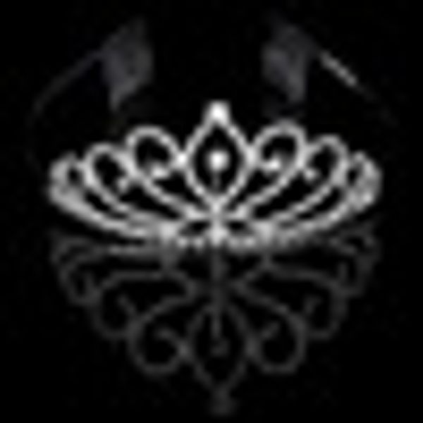 bridal wedding crystal rhinestone crown heart crown pageant silver plated women tiaras hair comb headband
bridal wedding crystal rhinestone crown heart crown pageant silver plated women tiaras hair comb headband