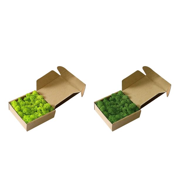 упаковка из 2 2pack искусственного декоративного декора moss diy для спальни гостиной
упаковка из 2 2pack искусственного декоративного декора moss diy для спальни гостиной