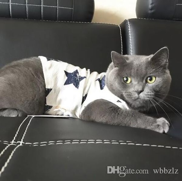 xs s m l xl summer cotton dog t-shirts vest design pet dog shirt for small and large dogs cat application
xs s m l xl summer cotton dog t-shirts vest design pet dog shirt for small and large dogs cat application