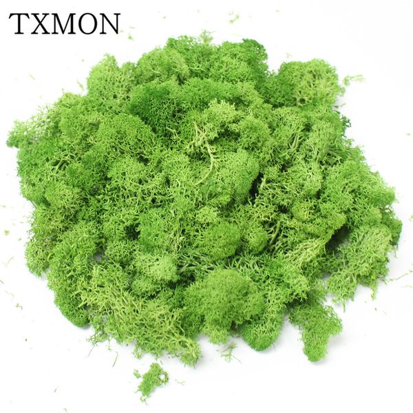1000g simulation green plant immortal fake flower moss grass home living room decorative wall diy flower decoration
1000g simulation green plant immortal fake flower moss grass home living room decorative wall diy flower decoration
