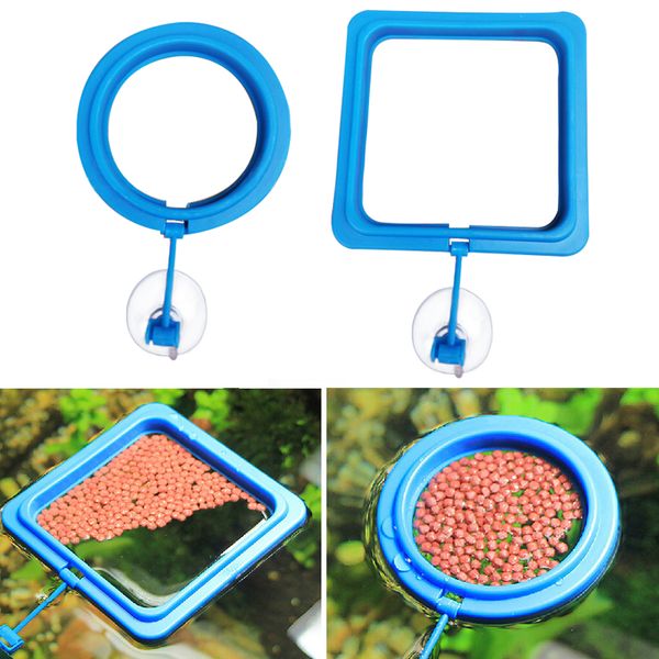 floating diy with suction cup home fish tank aquarium portable lightweight durable square round feeding ring
floating diy with suction cup home fish tank aquarium portable lightweight durable square round feeding ring