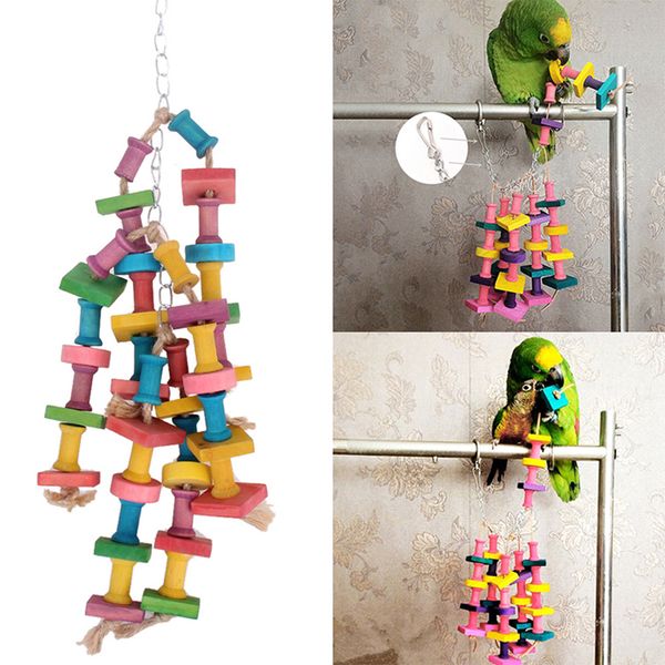 colourful pet parrot chewing biting wood brick toys for small medium big bird 
colourful pet parrot chewing biting wood brick toys for small medium big bird