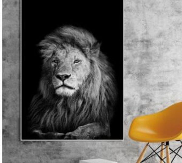 nordic canvas art painting wall art animal canvas painting lion zebra wall pictures posters print for living room home decor
nordic canvas art painting wall art animal canvas painting lion zebra wall pictures posters print for living room home decor