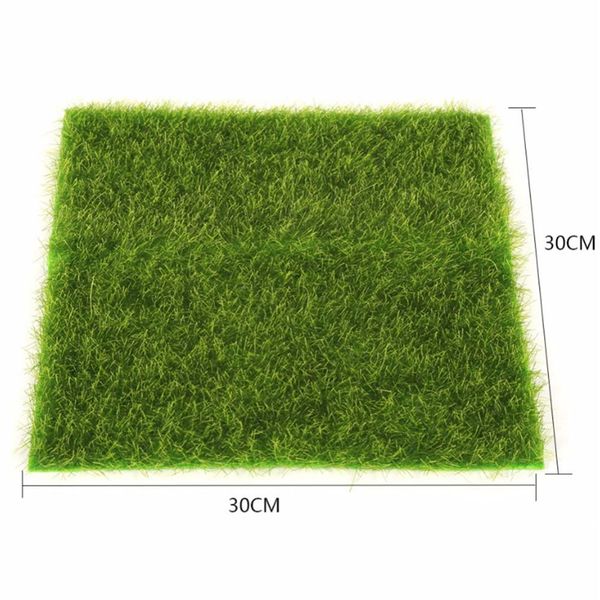 2 sizes creative micro landscape fake artificial grass landscape home ornament aquarium decoration artificial grass garden
2 sizes creative micro landscape fake artificial grass landscape home ornament aquarium decoration artificial grass garden