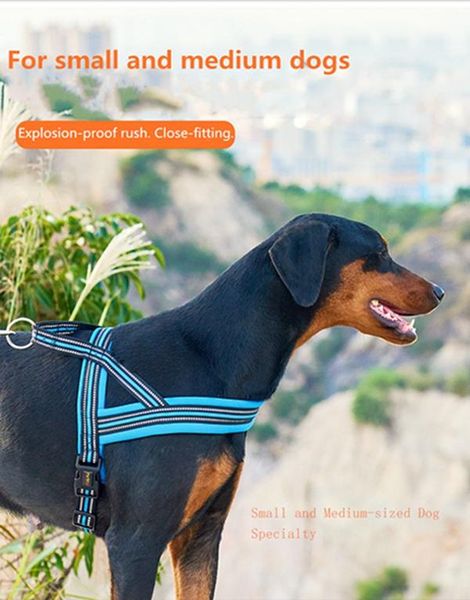 retractable dog automatic leash rope telescopic traction dog chain leash medium small hyena chest strap vest pet supplies cork teddy
retractable dog automatic leash rope telescopic traction dog chain leash medium small hyena chest strap vest pet supplies cork teddy