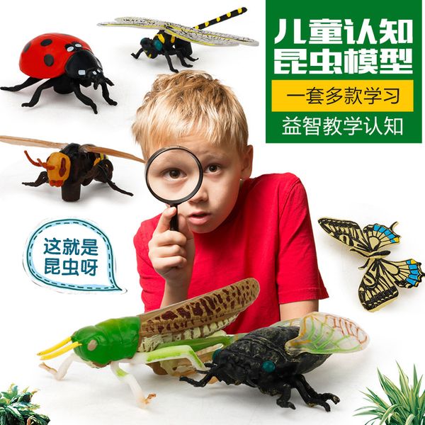 educational learning toy science cognitive model insect animal world furnishings sand table scene
educational learning toy science cognitive model insect animal world furnishings sand table scene