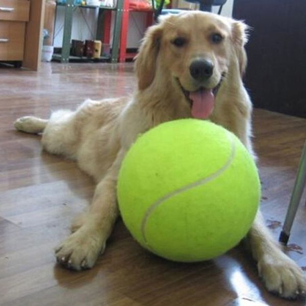 yvyoo 9.5 inches dog tennis ball giant pet toys for dog chewing toy signature mega ball toy for dog training supplies 1pcs d09
yvyoo 9.5 inches dog tennis ball giant pet toys for dog chewing toy signature mega ball toy for dog training supplies 1pcs d09