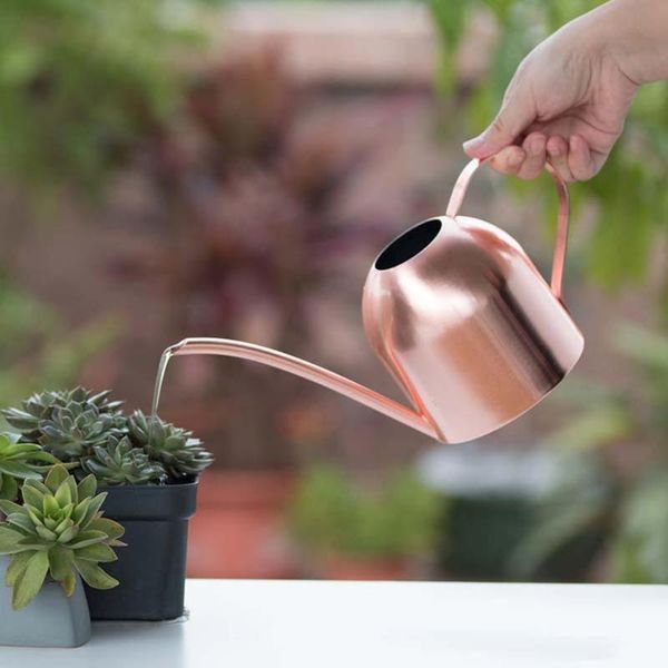 500ml stainless steel long spout home garden bonsai plant flower green watering pot golden watering can small gardening tool
500ml stainless steel long spout home garden bonsai plant flower green watering pot golden watering can small gardening tool