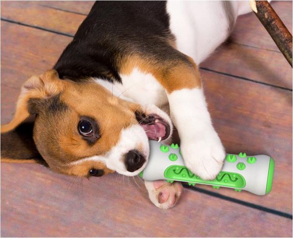 2020 toothbrush dog chew tooth cleaner brushing stick pet chew toy training toy dogs pets oral care dog brushing stick
2020 toothbrush dog chew tooth cleaner brushing stick pet chew toy training toy dogs pets oral care dog brushing stick