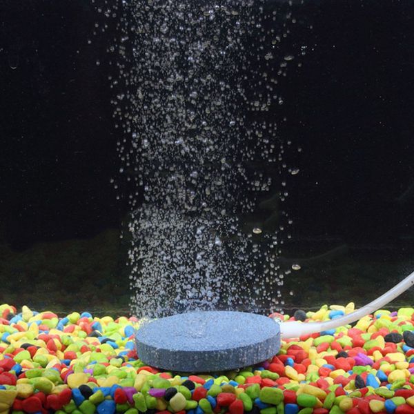 aquarium fish tank air stone oxygen aerator increasing air bubble pond pump hydroponic oxygen supply great 40/50/60/70/80mm
aquarium fish tank air stone oxygen aerator increasing air bubble pond pump hydroponic oxygen supply great 40/50/60/70/80mm