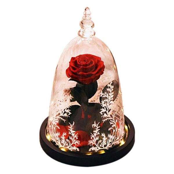 new-led beauty rose and beast red lantern string table lamp romantic valentine's day birthday gift decoration
new-led beauty rose and beast red lantern string table lamp romantic valentine's day birthday gift decoration