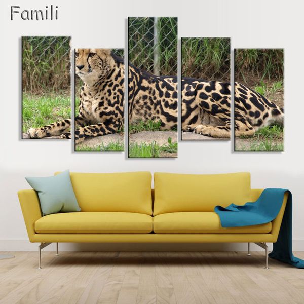 5 pieces / sets large modern printed cheetah african oil painting picture decorative paintings canvas wall art for living
5 pieces / sets large modern printed cheetah african oil painting picture decorative paintings canvas wall art for living