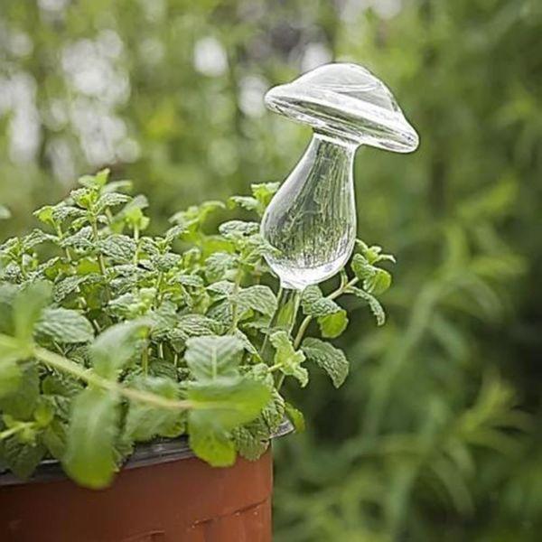 1 pcs self watering globe plant water bulbs hand blown clear glass 3 shapes new
1 pcs self watering globe plant water bulbs hand blown clear glass 3 shapes new