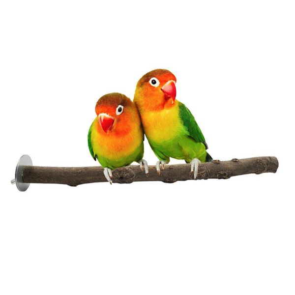 parakeet pet supplies chewing practical branch cage accessories bird toy stand stick scratch paw grinding wood parrot perch
parakeet pet supplies chewing practical branch cage accessories bird toy stand stick scratch paw grinding wood parrot perch