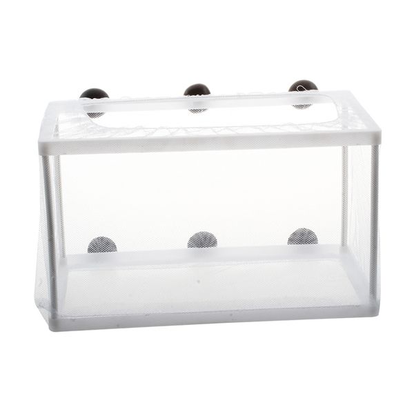 fish tank plastic frame white net fry hatchery breeder with suction cups other aquarium fish
fish tank plastic frame white net fry hatchery breeder with suction cups other aquarium fish