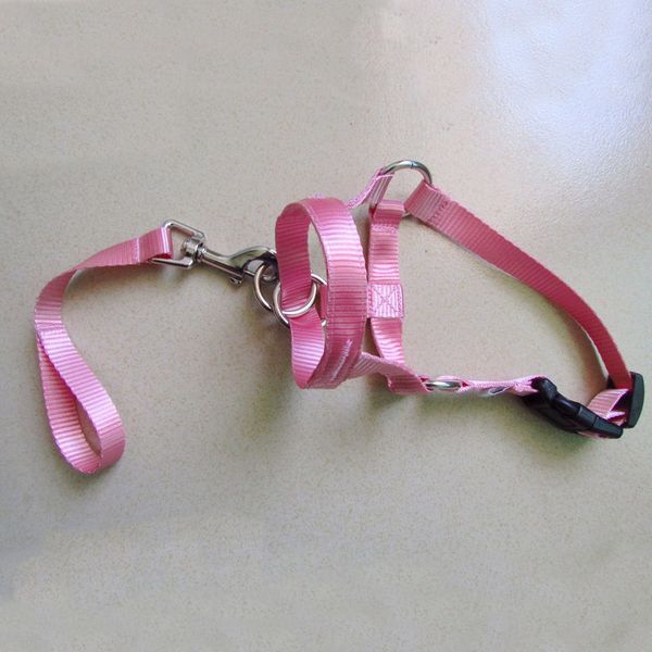durable head collar outdoor nylon gentle adjustable anti bite pet practical no pull traction rope leash dog halter training
durable head collar outdoor nylon gentle adjustable anti bite pet practical no pull traction rope leash dog halter training