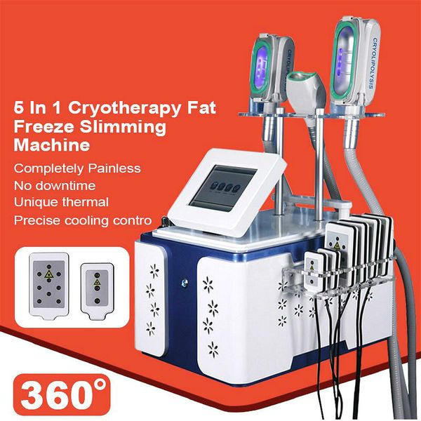 модернизированная версия машины cryolipolysis 360 градусов контакт охлаждая cryolipolysis уменьшая тучный замерзая уменьшая с ce/dhl бесплат
модернизированная версия машины cryolipolysis 360 градусов контакт охлаждая cryolipolysis уменьшая тучный замерзая уменьшая с ce/dhl бесплат