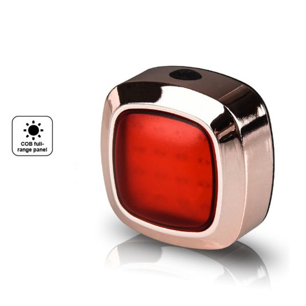 bicycle taillight waterproof riding rear light usb charging brake induction warning light mountain bike safety sensing taillight
bicycle taillight waterproof riding rear light usb charging brake induction warning light mountain bike safety sensing taillight