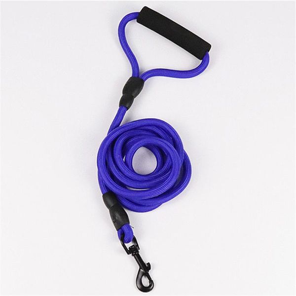 dog collars & leashes p chain leash slip collar pet walking leads nylon mountain climbing rope puppy traction for small medium large dogs
dog collars & leashes p chain leash slip collar pet walking leads nylon mountain climbing rope puppy traction for small medium large dogs