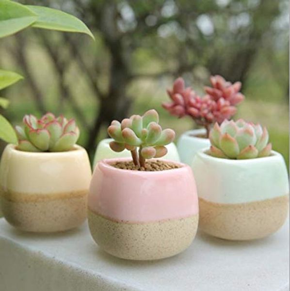EssenceLiving Pack of 5 Ceramic Succulent Planter Pots, Cactus Planters, Small Flower Pots, Multi Color Small Planters, Tiny Planters, Mini
EssenceLiving Pack of 5 Ceramic Succulent Planter Pots, Cactus Planters, Small Flower Pots, Multi Color Small Planters, Tiny Planters, Mini