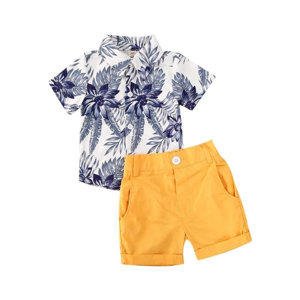 clothing sets 1-5y summer toddler baby boys clothes floral short sleeve shirts +solid shorts 2pcs outfits, White
clothing sets 1-5y summer toddler baby boys clothes floral short sleeve shirts +solid shorts 2pcs outfits, White