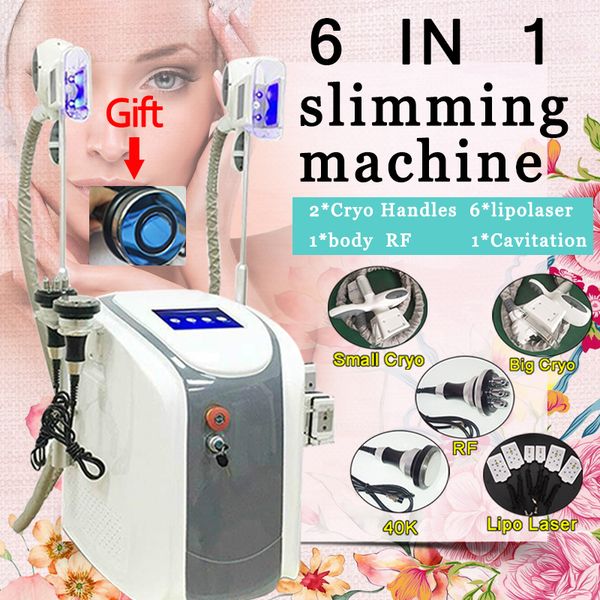 6 in 1 ultrasonic cavitation rf skin tightening fat e machine liposuction machine two cryolipolysis handles can work together, Black;white
6 in 1 ultrasonic cavitation rf skin tightening fat e machine liposuction machine two cryolipolysis handles can work together, Black;white