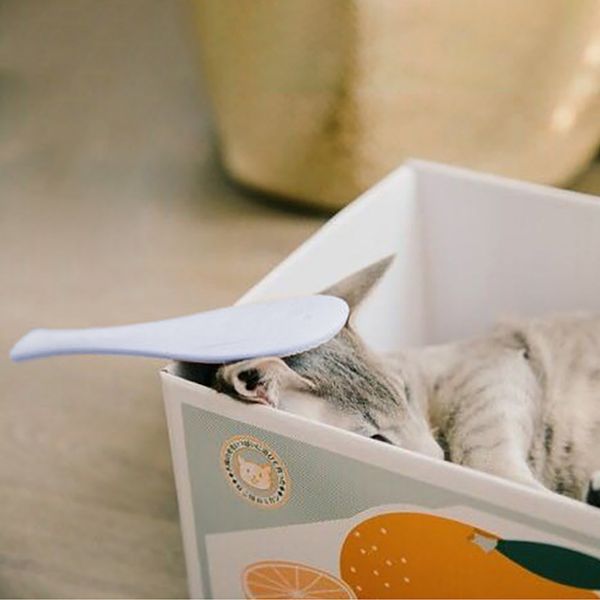 2020 язычка new cat расческа волос массаж ежедневного ухода за кожей уход за кисти лучшие подарки для кошек # nt35
2020 язычка new cat расческа волос массаж ежедневного ухода за кожей уход за кисти лучшие подарки для кошек # nt35