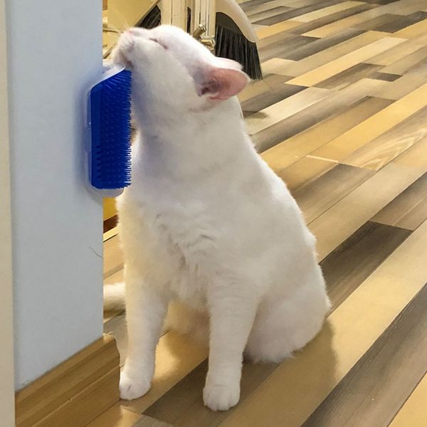 cat self groomer brush pet grooming supplies hair removal comb for cat dog hair shedding trimming cat massage device with catnip
cat self groomer brush pet grooming supplies hair removal comb for cat dog hair shedding trimming cat massage device with catnip