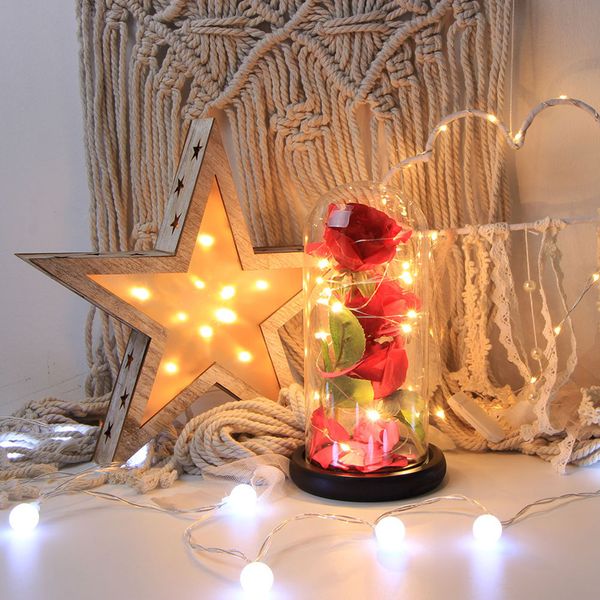 artificial silk rose flower with led glass dome lampshade light night mother's day valentine's day thanksgiving decor girl gifts
artificial silk rose flower with led glass dome lampshade light night mother's day valentine's day thanksgiving decor girl gifts