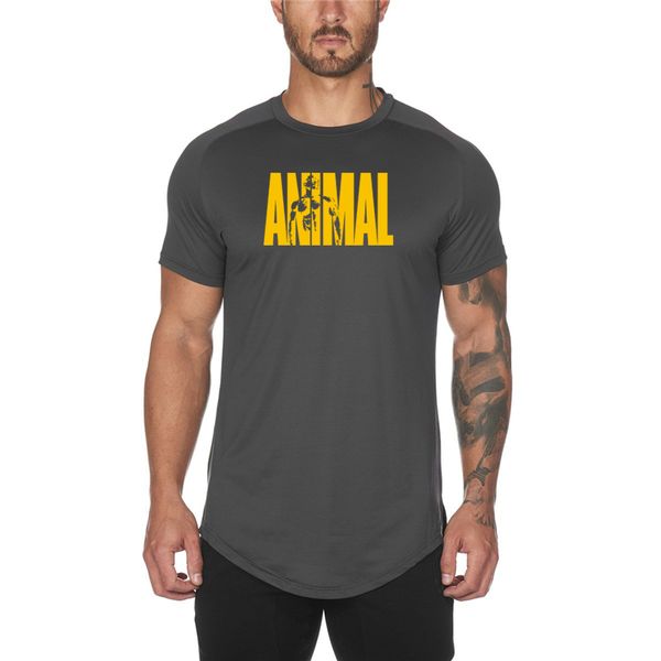 мужского gym fitness bodybuilding slim fit футболка muscle man повседневной printed футболка мужской тренировка дышащих сетки эластичных тро, White;black
мужского gym fitness bodybuilding slim fit футболка muscle man повседневной printed футболка мужской тренировка дышащих сетки эластичных тро, White;black