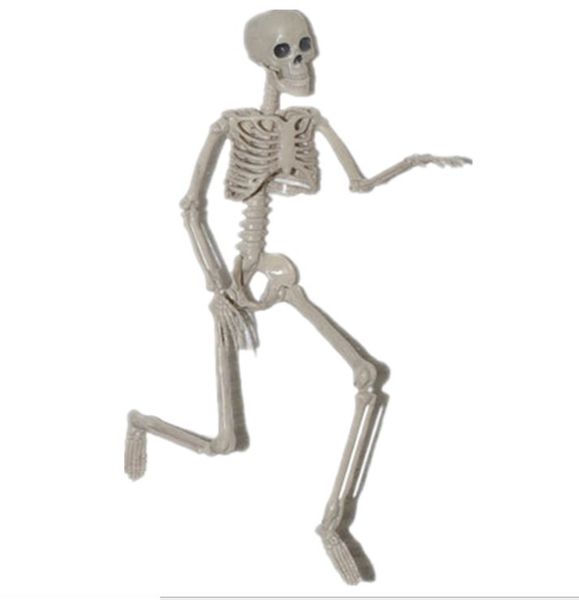halloween poseable life size skeleton party prop decor human anatomy model halloween decoration party prop
halloween poseable life size skeleton party prop decor human anatomy model halloween decoration party prop