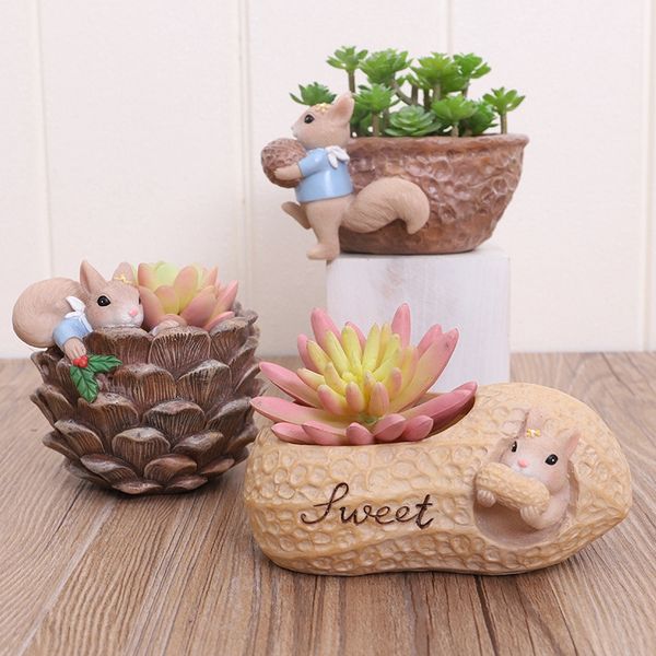 flower pot cartoon cute animal squirrel fleshy flower pot resin succulent pots deskdecoration for office
flower pot cartoon cute animal squirrel fleshy flower pot resin succulent pots deskdecoration for office