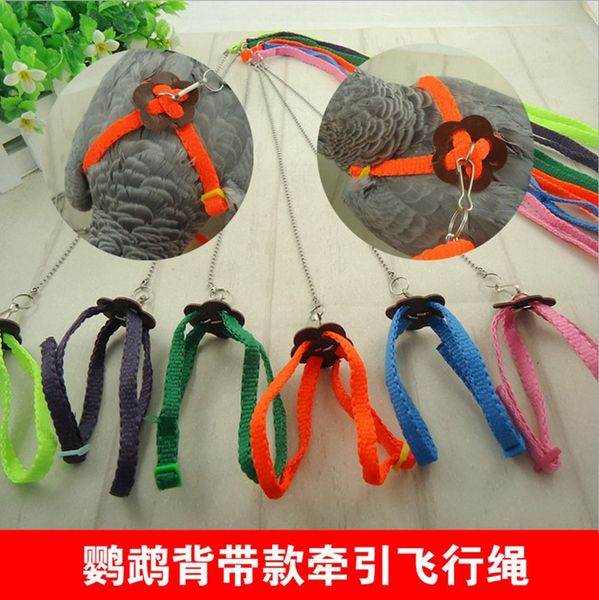 amazon straps go out small pet ash parrot tow flight rope bird 
amazon straps go out small pet ash parrot tow flight rope bird