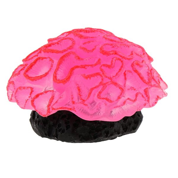 water plant ornament glowing effect silicone artificial decoration for fish tank, aquarium landscape
water plant ornament glowing effect silicone artificial decoration for fish tank, aquarium landscape