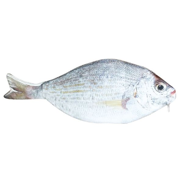fish shaped pencil bag pencil case box fish school pen case originality school creative gifts
fish shaped pencil bag pencil case box fish school pen case originality school creative gifts