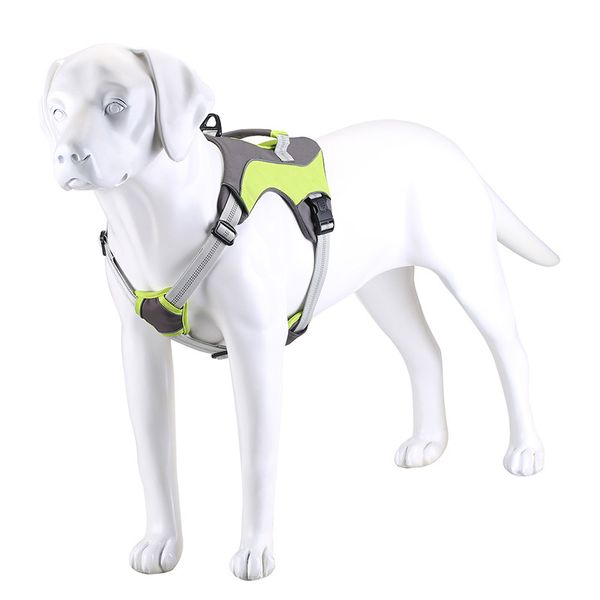 dog harness polyester safety reflective adjustable for small medium and large dogs outdoor pet supplies dog chest harness
dog harness polyester safety reflective adjustable for small medium and large dogs outdoor pet supplies dog chest harness