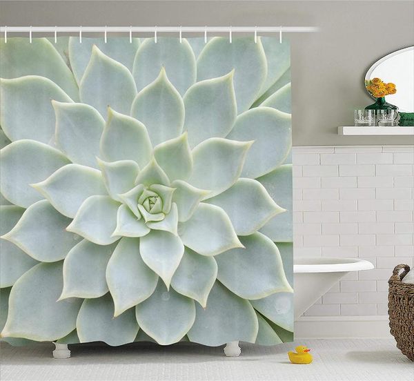 cactus decor shower curtain mexican natural plant artwork, fabric bathroom decor set with hooks
cactus decor shower curtain mexican natural plant artwork, fabric bathroom decor set with hooks