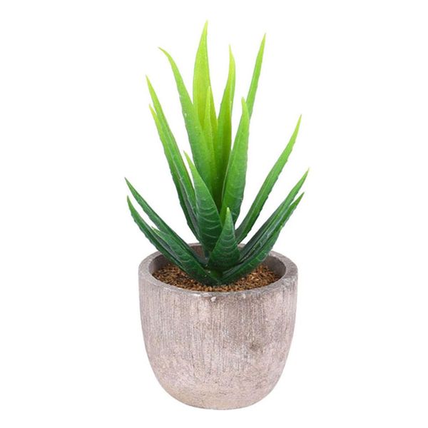 artificial succulent plant grass paper pulp pot bonsai ornament garden decor
artificial succulent plant grass paper pulp pot bonsai ornament garden decor