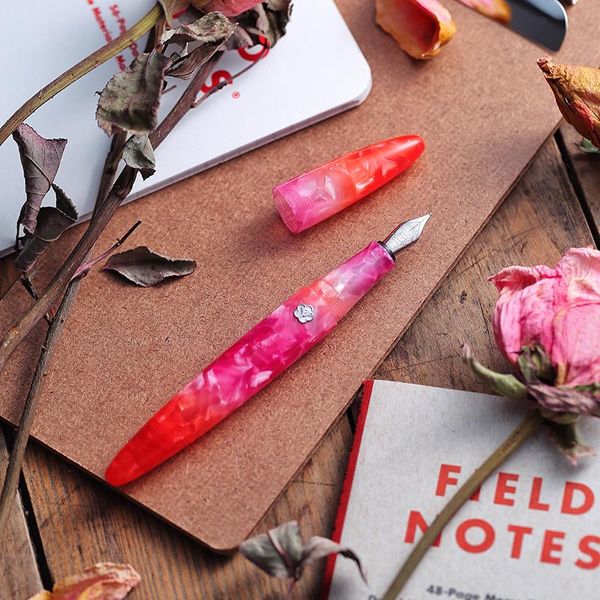live in you future series resin feather fountain pen girl's special training calligraphy retro pen birthday gift kawaii
live in you future series resin feather fountain pen girl's special training calligraphy retro pen birthday gift kawaii