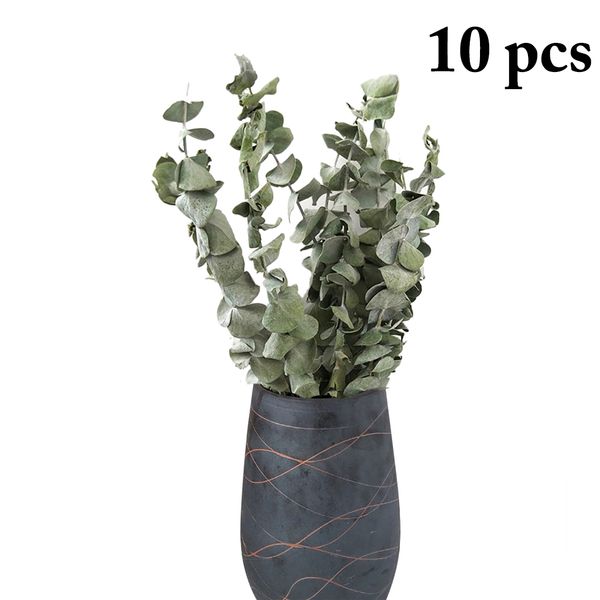 10pcs bunch plant branches fashion decorative dried eucalyptus leaves leaf branches for home wedding decoration indoor
10pcs bunch plant branches fashion decorative dried eucalyptus leaves leaf branches for home wedding decoration indoor