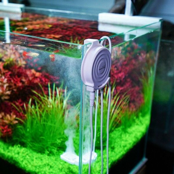 chihiros докоѬ mate aquarium водоѬоли remover twinstar лекѬонне inhibit оика инѬђмен дл gr
chihiros докоѬ mate aquarium водоѬоли remover twinstar лекѬонне inhibit оика инѬђмен дл gr