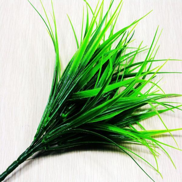 5pcs artificial fake plastic green grass plants flowers for diy home office shop decoration supplies
5pcs artificial fake plastic green grass plants flowers for diy home office shop decoration supplies
