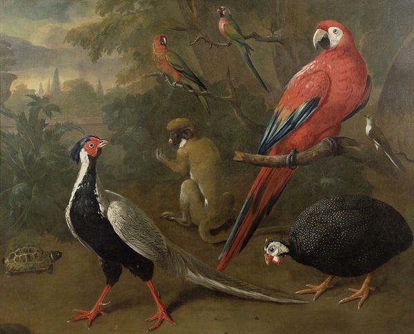 25-092#pheasant macaw monkey parrots tortoise framed & unframed home decor handcrafts /hd print oil painting on canvas wall art canvas
25-092#pheasant macaw monkey parrots tortoise framed & unframed home decor handcrafts /hd print oil painting on canvas wall art canvas
