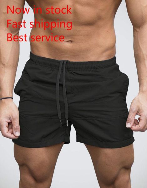 men's gym workout shorts summer male solid color bodybuilding running training jogging short pants with pocket, Black;blue
men's gym workout shorts summer male solid color bodybuilding running training jogging short pants with pocket, Black;blue