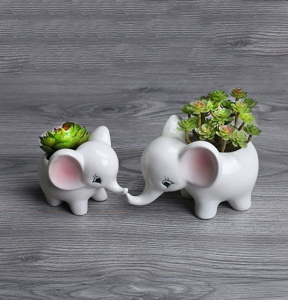 small elephant ceramic flower pot succulent plant cute looking animal bonsai planter for office and garden
small elephant ceramic flower pot succulent plant cute looking animal bonsai planter for office and garden