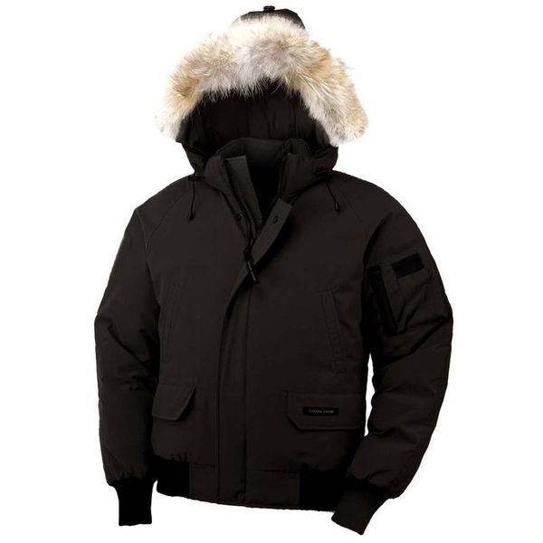 dhl hipping2019 wolf hair winter mens bomber outerwear big fur hooded fourrure manteau 90% goose jacket coat hiver, Black
dhl hipping2019 wolf hair winter mens bomber outerwear big fur hooded fourrure manteau 90% goose jacket coat hiver, Black