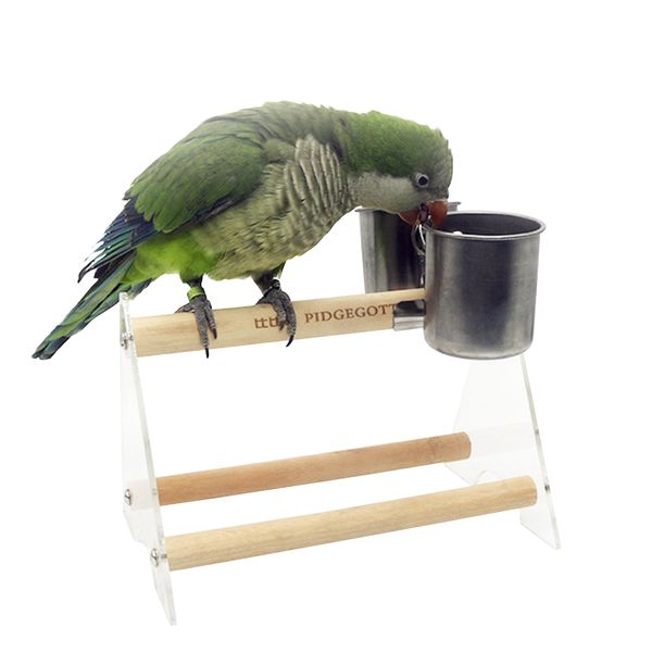 bird feeder cups food water feeding bird double cups with clip stainless steel parrot cage stand bird supplies
bird feeder cups food water feeding bird double cups with clip stainless steel parrot cage stand bird supplies