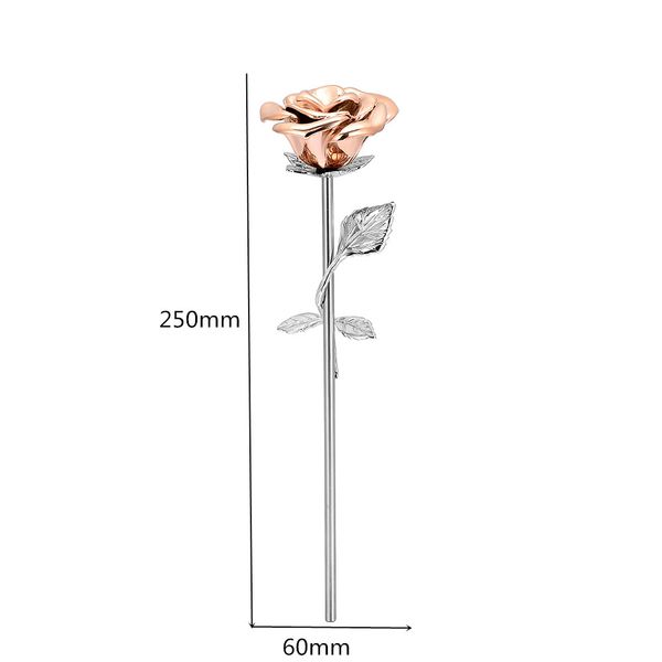 iju002 stainless steel cremation silver leaf rose flower souvenir long multi colorful rose flower real gray vase gray souvenir gift
iju002 stainless steel cremation silver leaf rose flower souvenir long multi colorful rose flower real gray vase gray souvenir gift