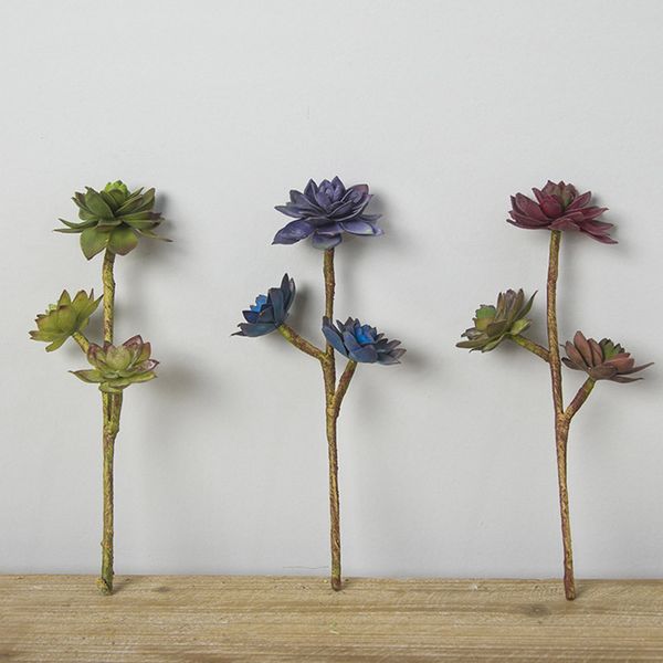 simulation star lotus echeveria elegance artificial succulent plant plastic flower arrangement micro landscape decoration
simulation star lotus echeveria elegance artificial succulent plant plastic flower arrangement micro landscape decoration